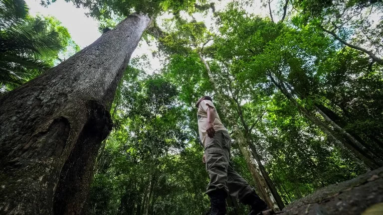 AGU amplia atuação em defesa da recuperação dos biomas brasileiros